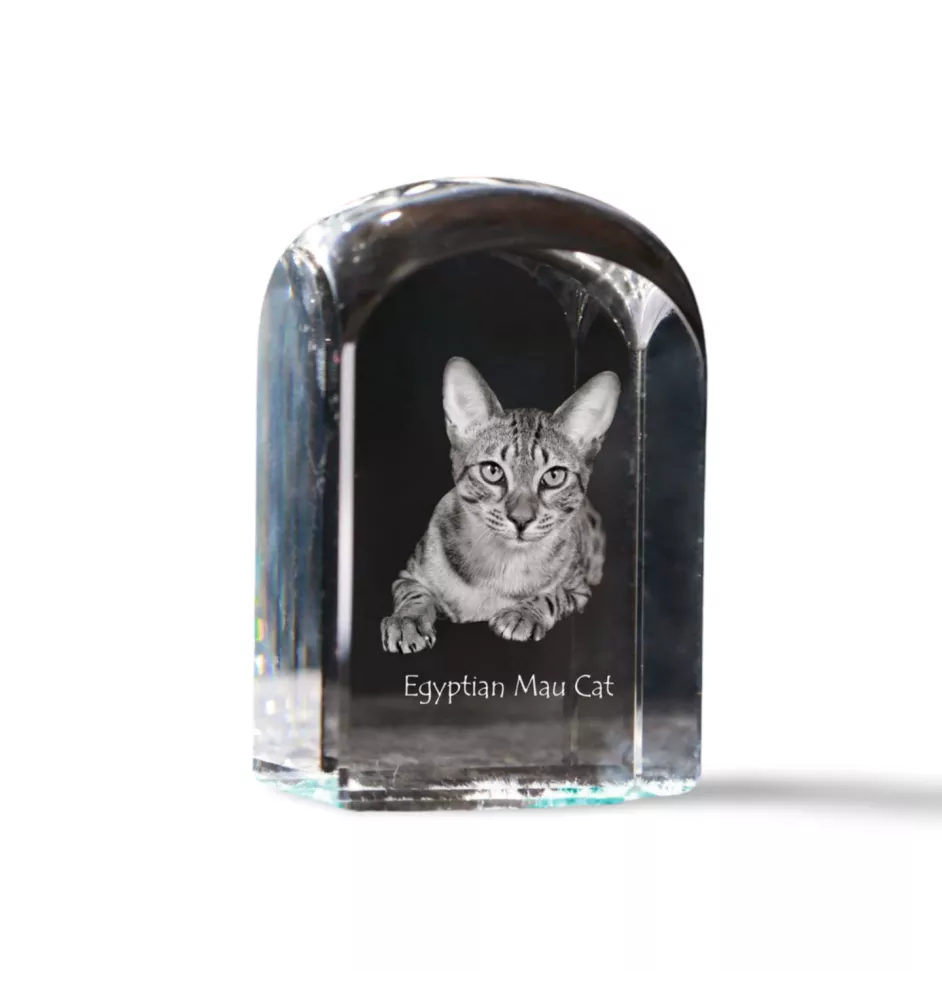 Egyptian Mau Cat - crystal cube with a photo, photo of a cat in crystal, cubic paperweight from Art-Dog brand