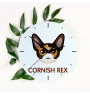 Cornish Rex zegar z kotem Art-Dog