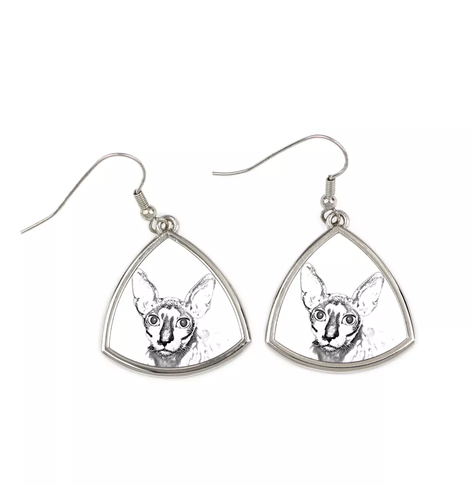 Cornish Rex - boucles d'oreilles avec un chat, boucles d'oreilles pendantes avec une image, bijoux personnalisés avec l'impression de la marque Art-Dog