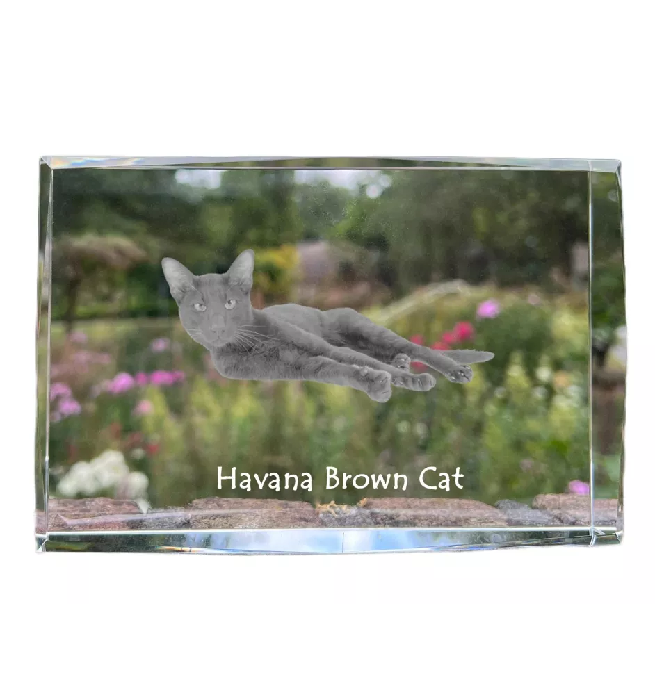 Hawana Brązowa kryształ z kotem Art-Dog