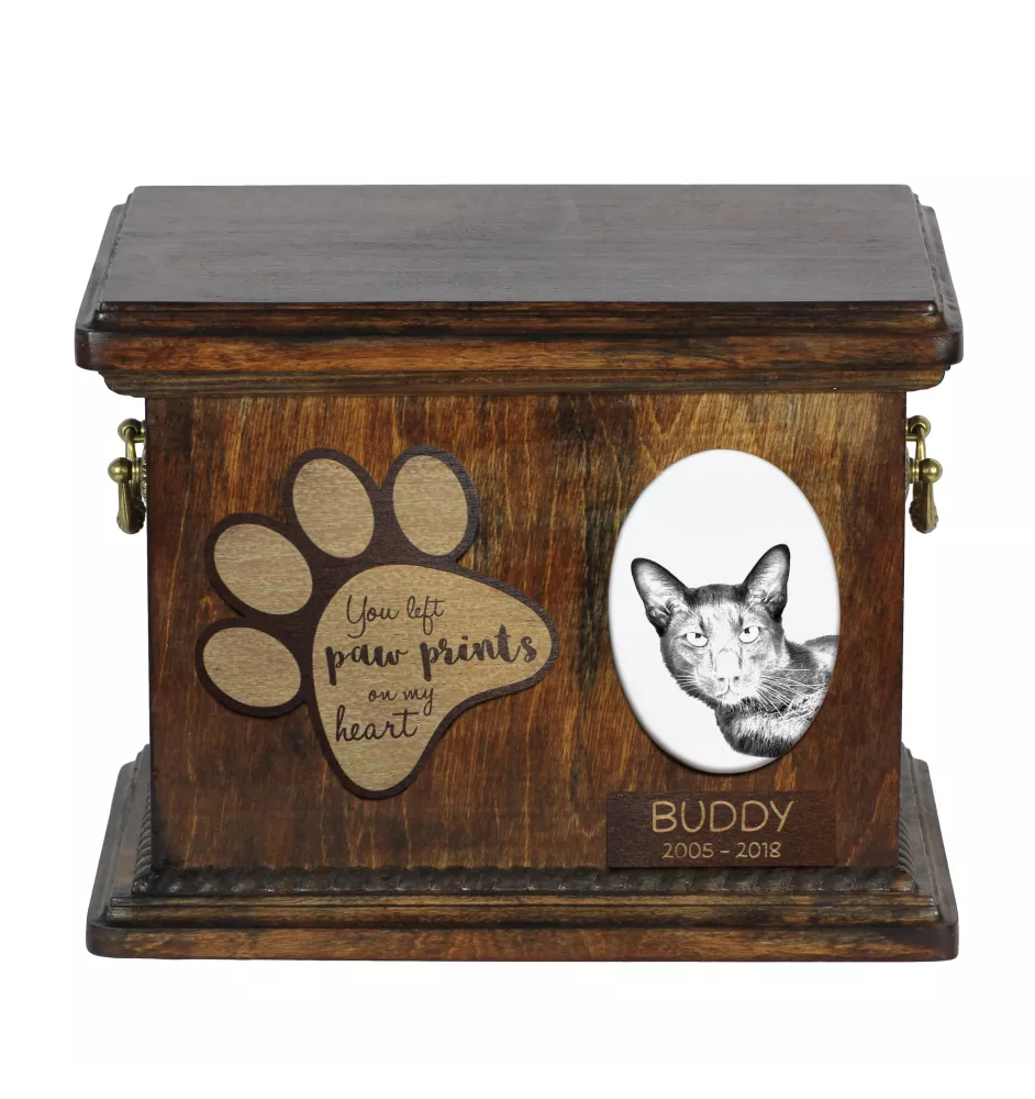 Havanna braun Katze - Eine Urne für die Asche einer Katze, eine Urne für eine Katze mit Foto, eine personalisierte Katzenasche-Box der Marke Art-Dog.