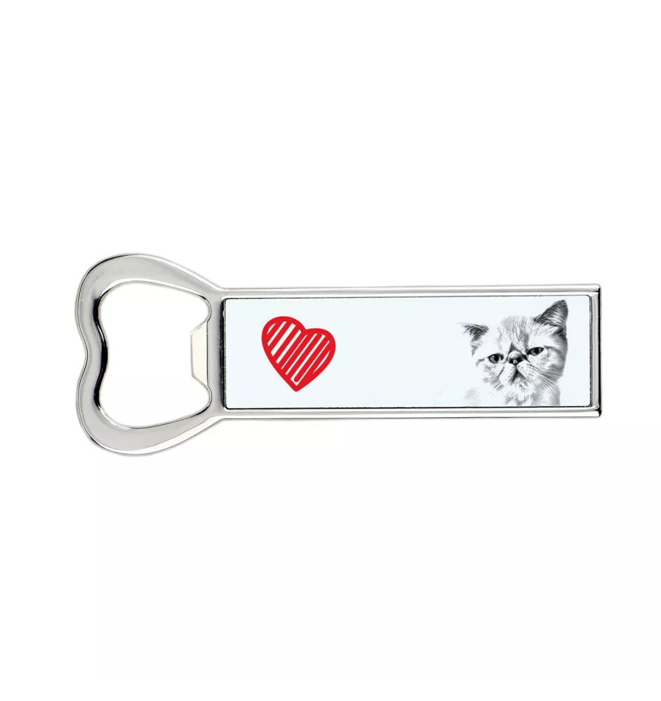 Exotique à poil court - ouvre-bouteille avec un chat, ouvre-bouteille personnalisé pour le réfrigérateur, cadeau unique pour homme de la marque Art-Dog