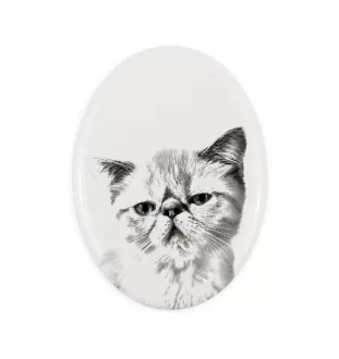 Exotisch Kurzhaar - Gedenktafel mit einem Foto einer Katze, Grabplatte mit Druck, personalisierte ovale Platte der Marke Art-Dog
