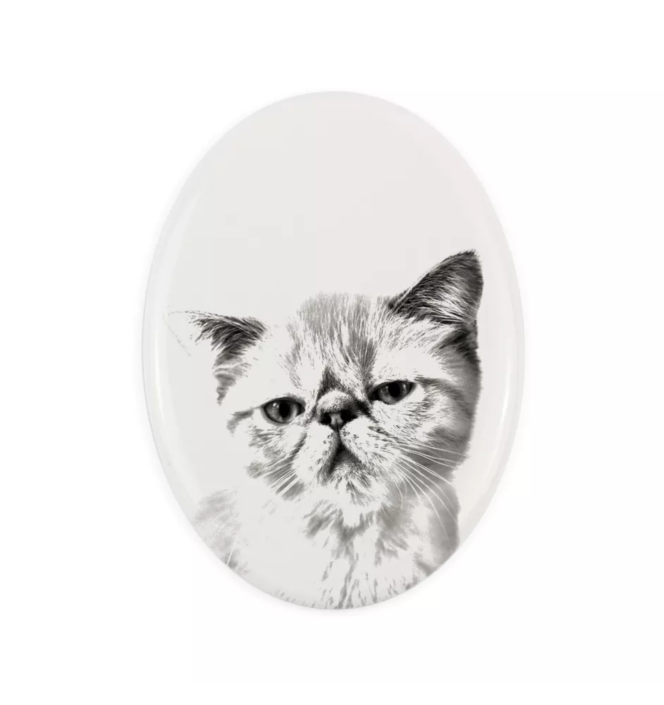 Exotisch Kurzhaar - Gedenktafel mit einem Foto einer Katze, Grabplatte mit Druck, personalisierte ovale Platte der Marke Art-Dog
