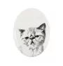 Exotisch Kurzhaar - Gedenktafel mit einem Foto einer Katze, Grabplatte mit Druck, personalisierte ovale Platte der Marke Art-Dog