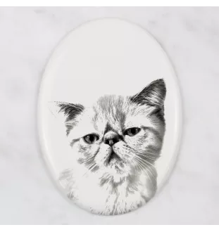 Exotisch Kurzhaar - Gedenktafel mit einem Foto einer Katze, Grabplatte mit Druck, personalisierte ovale Platte der Marke Art-Dog