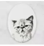 Exotisch Kurzhaar - Gedenktafel mit einem Foto einer Katze, Grabplatte mit Druck, personalisierte ovale Platte der Marke Art-Dog