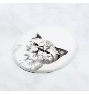 Exotisch Kurzhaar - Gedenktafel mit einem Foto einer Katze, Grabplatte mit Druck, personalisierte ovale Platte der Marke Art-Dog