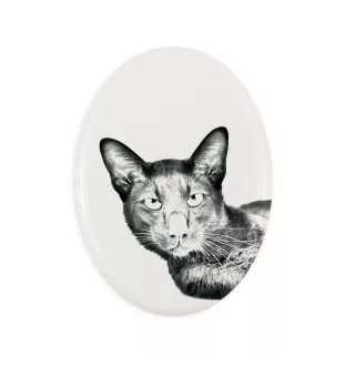 Havana brown Cat - commemorative plaque with a cat photo, tombstone with a print, personalized oval plaque from the Art-Dog brand