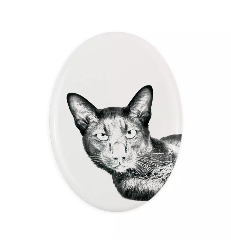 Havana brown Cat - commemorative plaque with a cat photo, tombstone with a print, personalized oval plaque from the Art-Dog brand