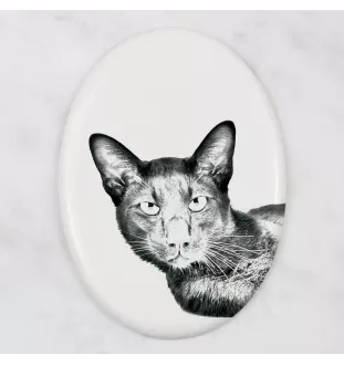 Havana brown Cat - commemorative plaque with a cat photo, tombstone with a print, personalized oval plaque from the Art-Dog brand