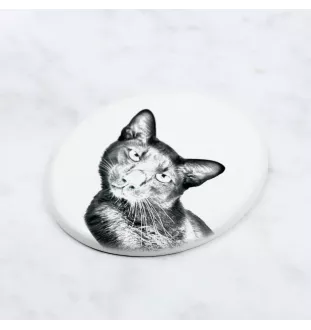 Chat Havana brown - une plaque commémorative avec une photo de chat, une plaque funéraire avec une impression, une plaque ovale personnalisée de la marque Art-Dog