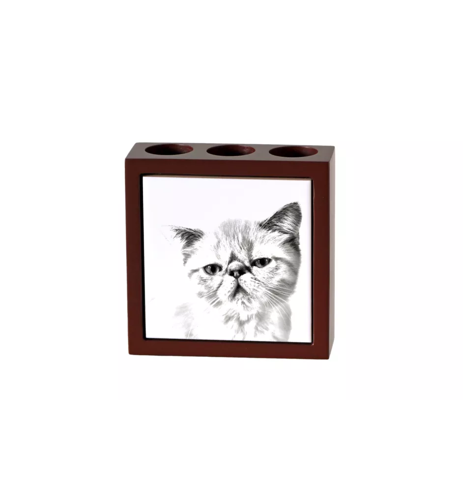 Exotic Shorthair - pen holder with a cat, desk organizer with a print, personalized desk decoration by Art-Dog brand