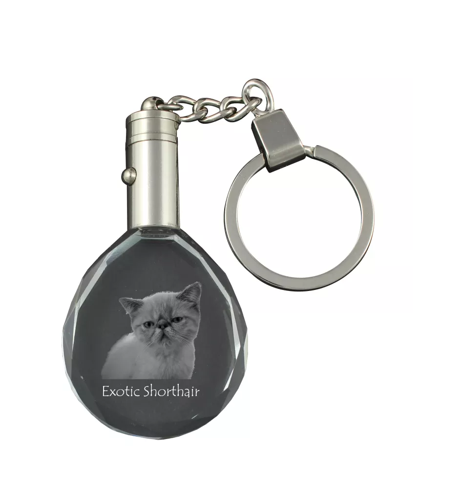 Exotique à poil court - Fob with cat photo, crystal key ring in gift box, unique gift by Art-Dog brand