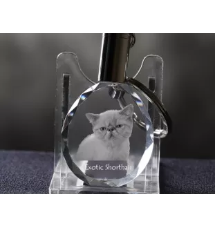 Exotique à poil court - Fob with cat photo, crystal key ring in gift box, unique gift by Art-Dog brand