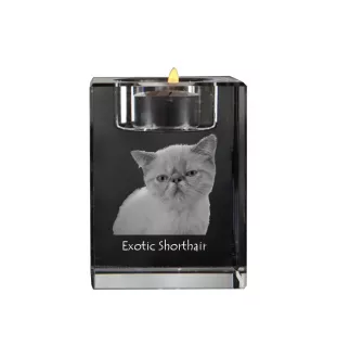 Exotic Shorthair - Candle holder with cat photo, crystal tealight holder, personalised gift by Art-Dog brand