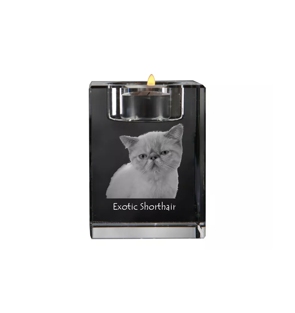 Exotic Shorthair - Candle holder with cat photo, crystal tealight holder, personalised gift by Art-Dog brand