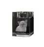 Exotic Shorthair - Candle holder with cat photo, crystal tealight holder, personalised gift by Art-Dog brand