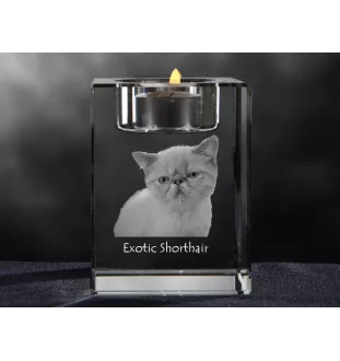 Exotisch Kurzhaar - Kerzenhalter mit Katzenfoto, Teelichthalter aus Kristall, personalisiertes Geschenk der Marke Art-Dog
