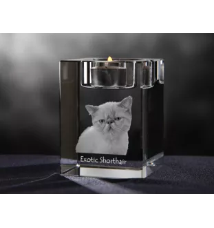 Exotic Shorthair - Candle holder with cat photo, crystal tealight holder, personalised gift by Art-Dog brand