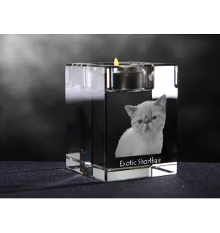 Exotique à poil court - Bougeoir avec photo de chat, porte bougie en cristal, cadeau personnalisé par la marque Art-Dog