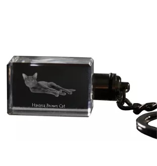 Havana Brown - Crystal pendant with cat photo, illuminated pendant, unique gift by Art-Dog brand
