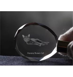 Hawana Brązowa brelok do kluczy kryształowy z kotem Art-Dog