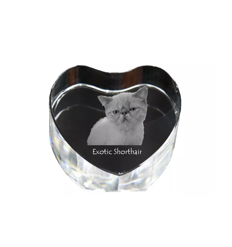 Egzotyczny krótkowłosy serce kryształowe z kotem Art-Dog