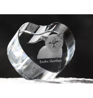 Exotic Shorthair - crystal clock with a picture of a cat, heart-shaped shelf clock, personalized standing clock by Art-Dog brand