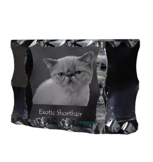 Exotique à poil court - cristal avec une photo de chat, une statuette en verre avec une photo, un cadre exceptionnel avec une photo de la marque Art-Dog