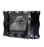 Exotique à poil court - cristal avec une photo de chat, une statuette en verre avec une photo, un cadre exceptionnel avec une photo de la marque Art-Dog