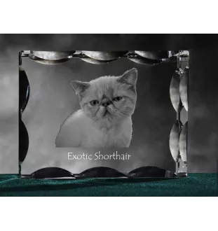 Exotique à poil court - cristal avec une photo de chat, une statuette en verre avec une photo, un cadre exceptionnel avec une photo de la marque Art-Dog