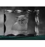 Exotisch Kurzhaar - Kristall mit Katzenbild, Glasstatuette mit Bild, einzigartiger Bilderrahmen der Marke Art-Dog