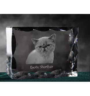 Exotique à poil court - cristal avec une photo de chat, une statuette en verre avec une photo, un cadre exceptionnel avec une photo de la marque Art-Dog