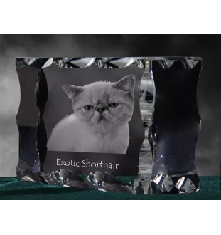 Exotisch Kurzhaar - Kristall mit Katzenbild, Glasstatuette mit Bild, einzigartiger Bilderrahmen der Marke Art-Dog