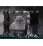 Exotic Shorthair - crystal with a cat picture, glass statuette with a picture, unique frame with a picture from Art-Dog brand