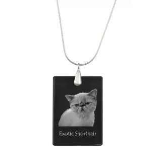 Exotique à poil court - Crystal pendant with cat, silver necklace with photo, personalised pendant by Art-Dog brand