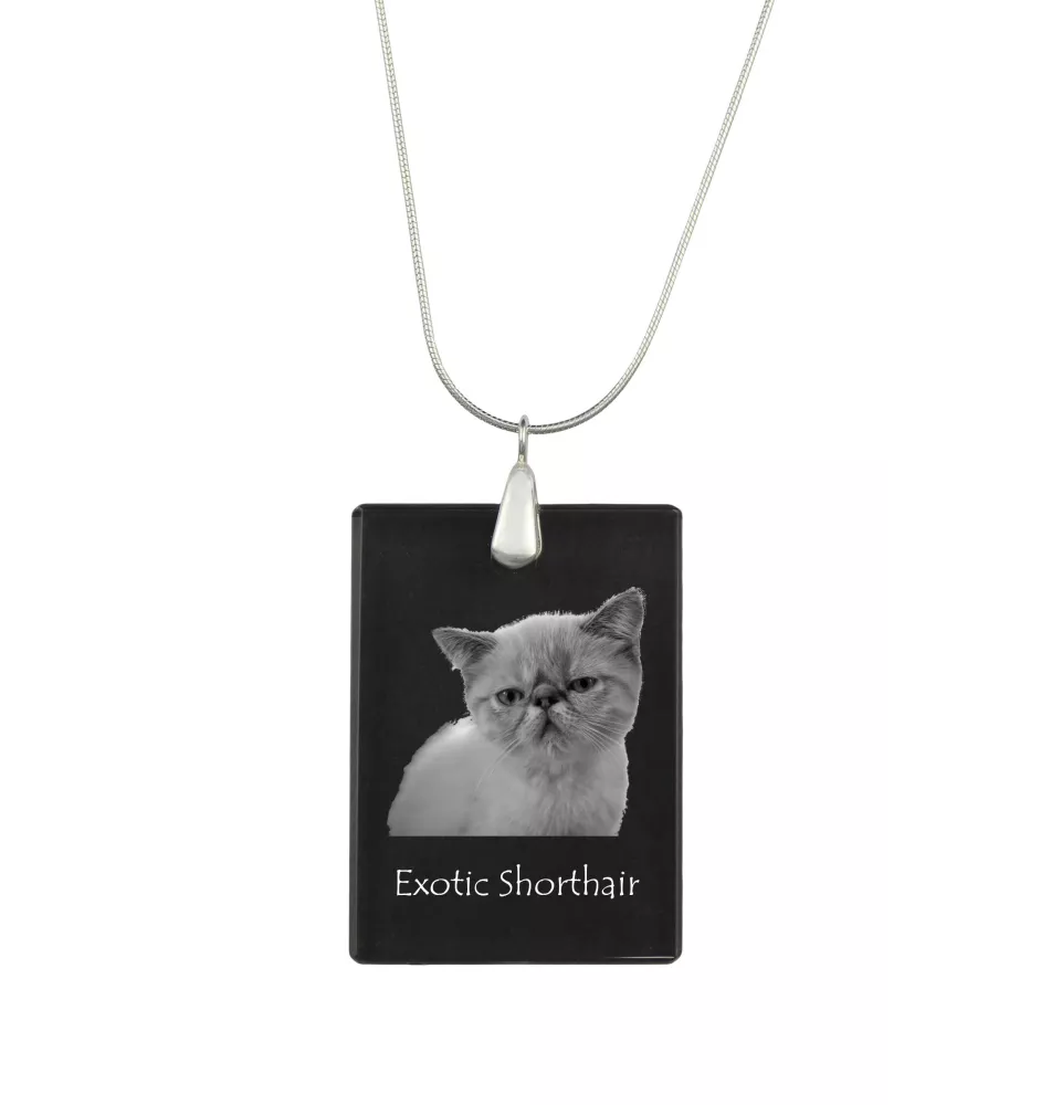 Exotisch Kurzhaar - Crystal pendant with cat, silver necklace with photo, personalised pendant by Art-Dog brand