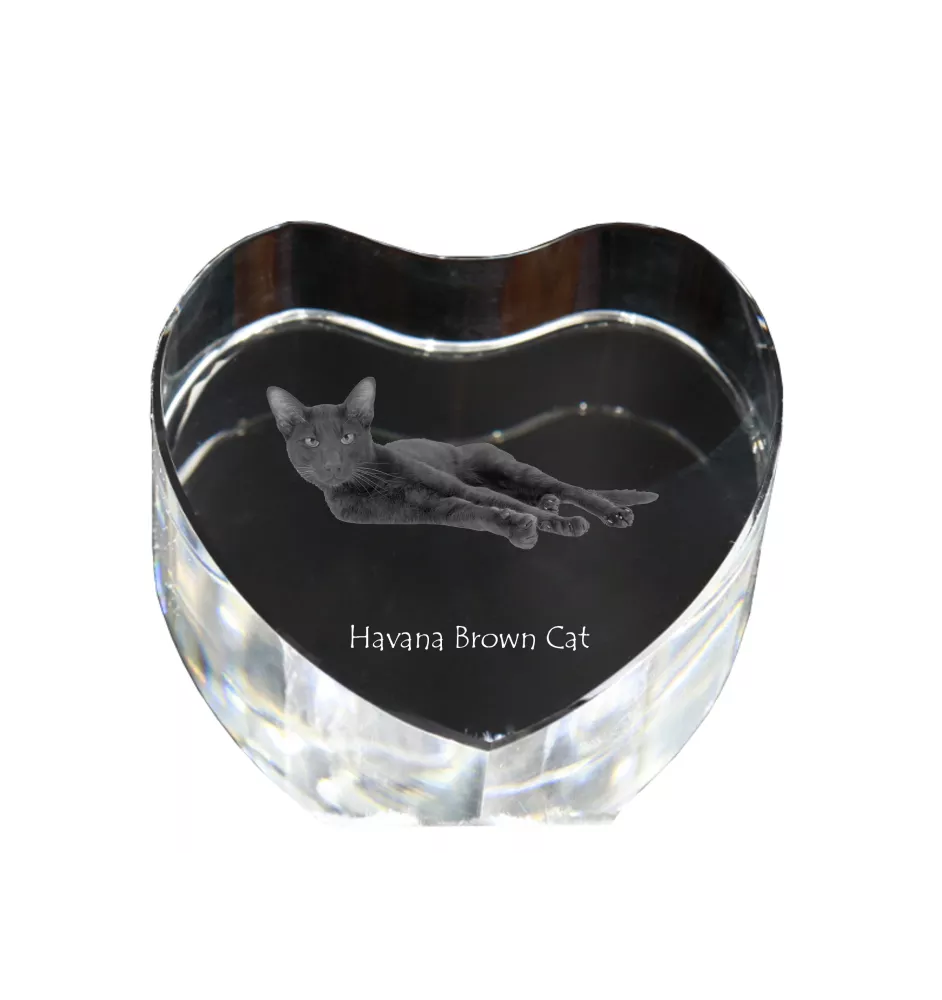 Havanna braun Katze - Kristalluhr mit Katzenbild, Herzregal-Uhr, personalisierte Standuhr von Art-Dog.