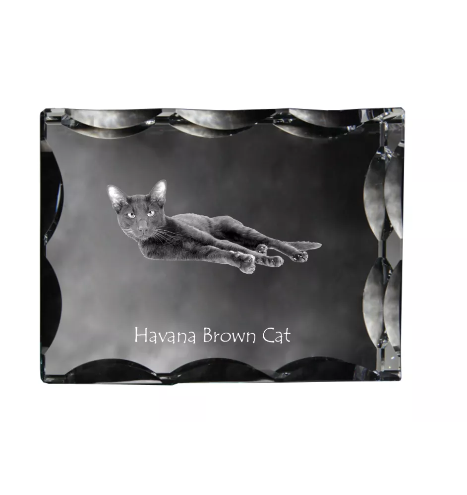 Chat Havana brown - cristal avec une photo de chat, une statuette en verre avec une photo, un cadre exceptionnel avec une photo de la marque Art-Dog