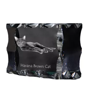 Chat Havana brown - cristal avec une photo de chat, une statuette en verre avec une photo, un cadre exceptionnel avec une photo de la marque Art-Dog