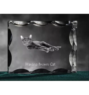 Chat Havana brown - cristal avec une photo de chat, une statuette en verre avec une photo, un cadre exceptionnel avec une photo de la marque Art-Dog
