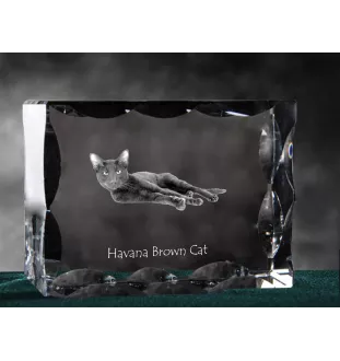 Havanna braun Katze - Kristall mit Katzenbild, Glasstatuette mit Bild, einzigartiger Bilderrahmen der Marke Art-Dog