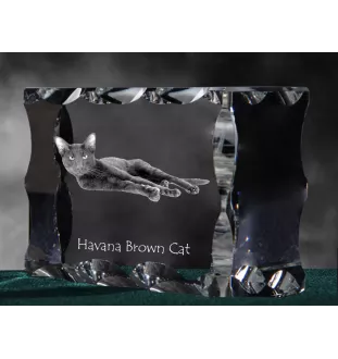 Havanna braun Katze - Kristall mit Katzenbild, Glasstatuette mit Bild, einzigartiger Bilderrahmen der Marke Art-Dog