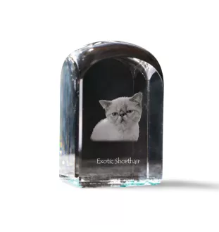 Exotic Shorthair - crystal cube with a photo, photo of a cat in crystal, cubic paperweight from Art-Dog brand