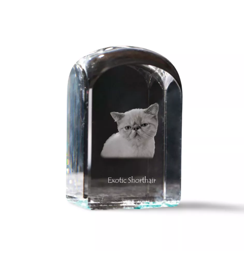 Exotisch Kurzhaar - Kristallwürfel mit Bild, Katzenbild im Kristall, sechseckiger Papierclip von der Marke Art-Dog