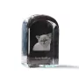 Exotic Shorthair - crystal cube with a photo, photo of a cat in crystal, cubic paperweight from Art-Dog brand