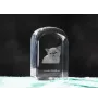 Exotic Shorthair - crystal cube with a photo, photo of a cat in crystal, cubic paperweight from Art-Dog brand
