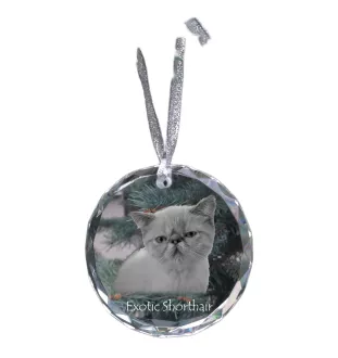 Exotic Shorthair - crystal bauble with a photo, photo of a cat in crystal, personalized Christmas tree ornament by Art-Dog brand