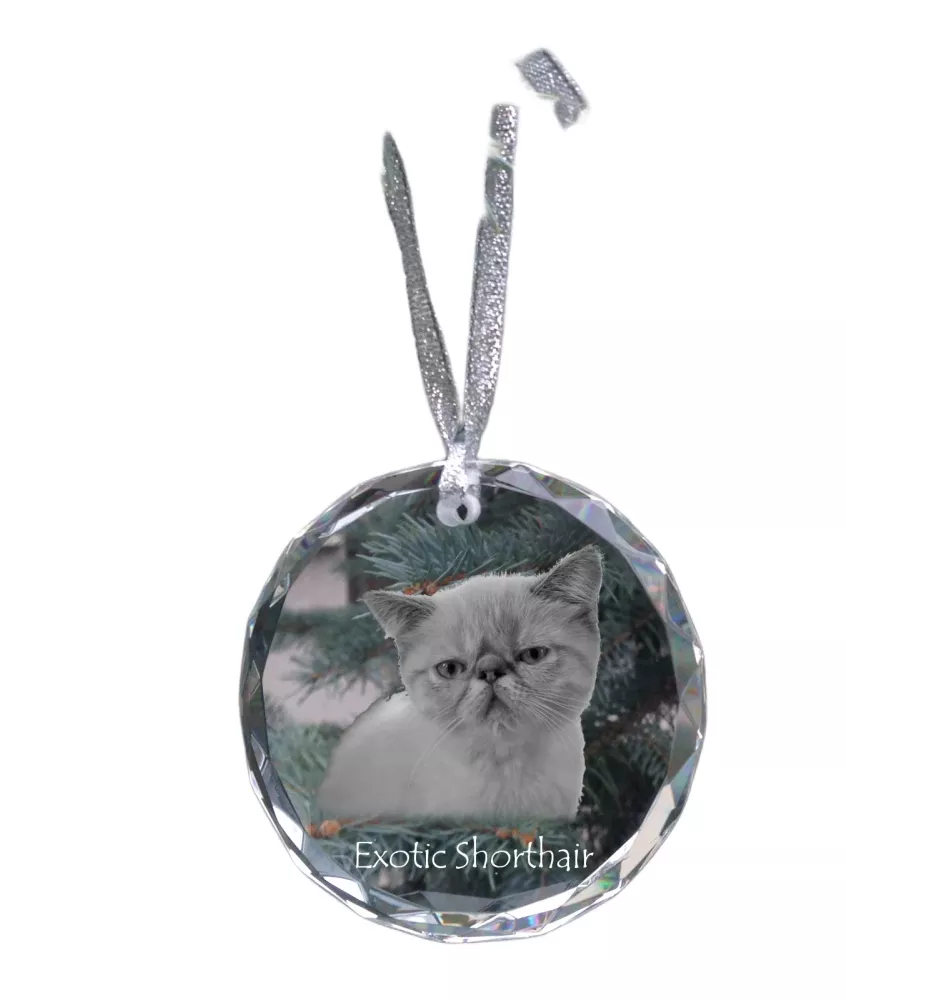Exotic Shorthair - crystal bauble with a photo, photo of a cat in crystal, personalized Christmas tree ornament by Art-Dog brand